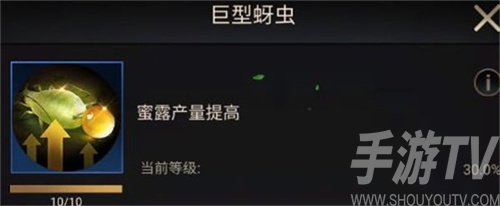 小小蚁国初期进化选择什么类型-选择类型推荐