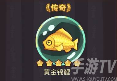 咸鱼之王黄金锦鲤搭配推荐