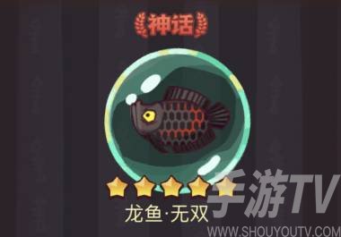 咸鱼之王龙鱼无双搭配推荐