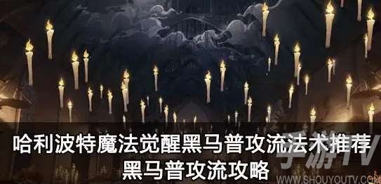 哈利波特魔法觉醒竞技场黑马普攻流该怎么玩 黑马普攻流法术最新推荐攻略