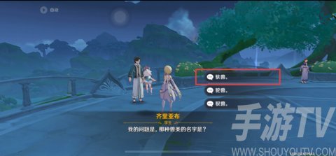 原神齐里亚布问题答案大全 齐里亚布问答任务正确答案攻略[多图]图片3