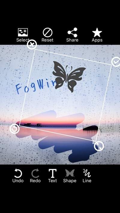 fogwin