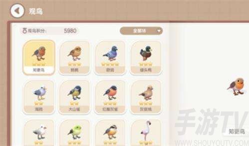 心动小镇小鸟出现条件汇总介绍