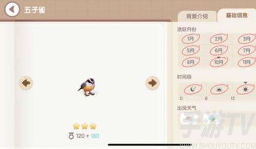 心动小镇小鸟出现条件汇总介绍