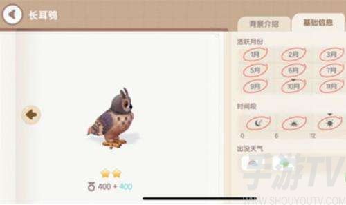心动小镇小鸟出现条件汇总介绍