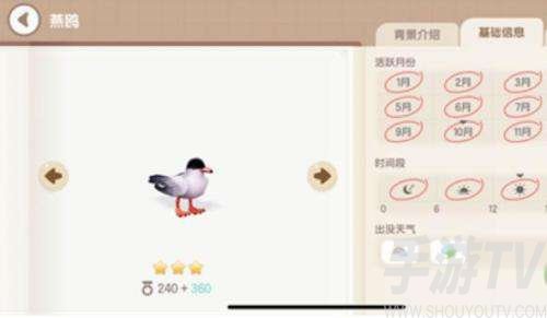 心动小镇小鸟出现条件汇总介绍
