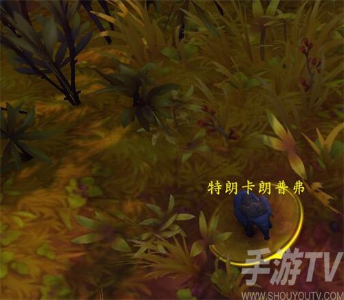 魔兽世界10.0特朗卡朗普弗在哪里-特朗卡朗普弗具体位置分享