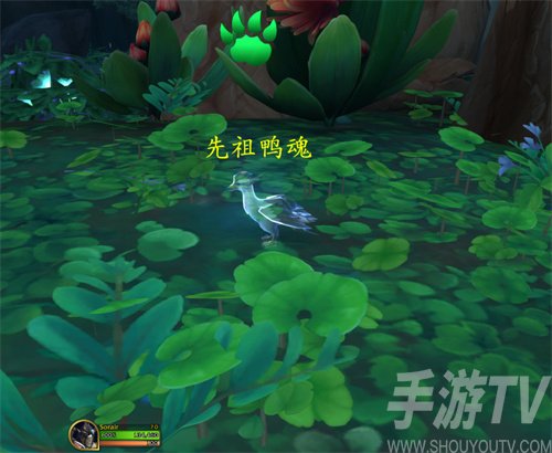 魔兽世界先祖鸭魂怎么获取-魔兽世界先祖鸭魂获取方法