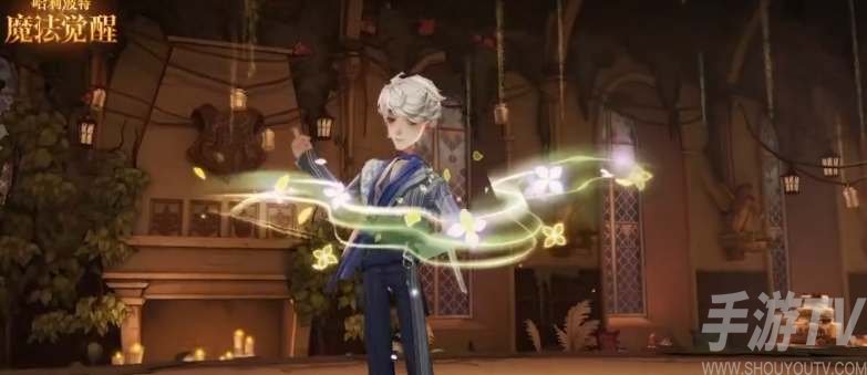 哈利波特魔法觉醒11月直售时装2022