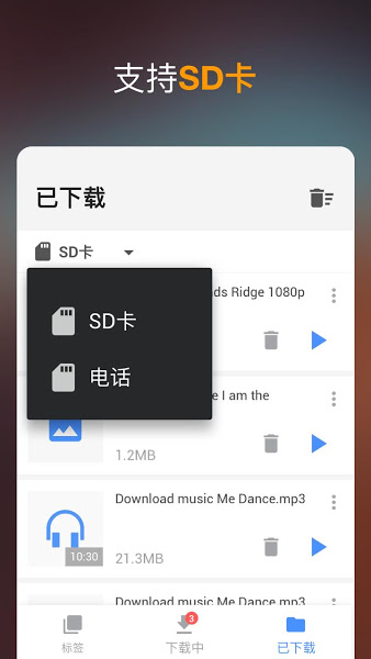 Video Downloader