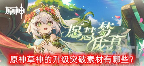 原神草神的升级突破材料有哪些-草神天赋升级材料一览