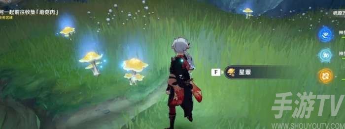 原神星蕈位置在哪 原神星蕈位置大全