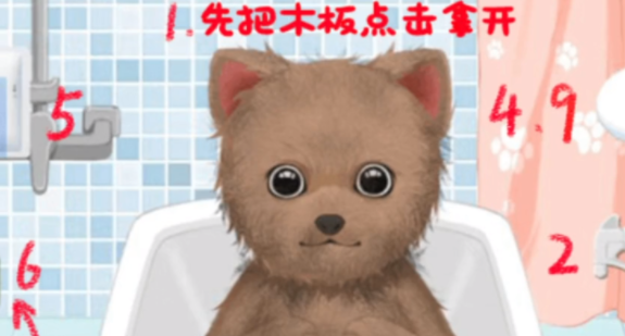 收納物語狗狗spa怎麼通關 收納物語狗狗spa通關攻略一覽