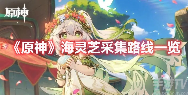 原神海灵芝采集路线一览