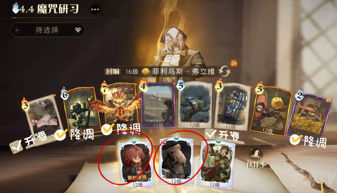 哈利波特魔法覺醒小赫敏卡組搭配推薦
