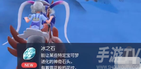 寶可夢朱紫好勝毛蟹怎麼進化 好勝蟹進化好勝毛蟹攻略[多圖]圖片3