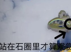 光遇在風行網道觀賞彩虹任務怎麼做 在風行網道觀賞彩虹任務攻略