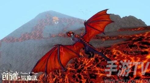 創造與魔法捕獲飛龍王鳥方法