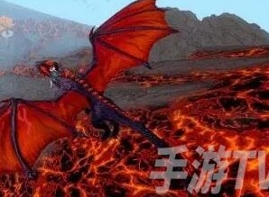 創造與魔法飛龍王鳥吃多少飼料 創造與魔法捕獲飛龍王鳥方法