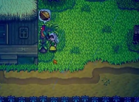 星露穀物語薑島寶石鳥怎麼擺放 薑島寶石鳥擺放順序攻略