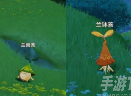 原神須請安全玩耍怎麼解鎖 須彌隱藏成就請安全玩耍攻略一覽