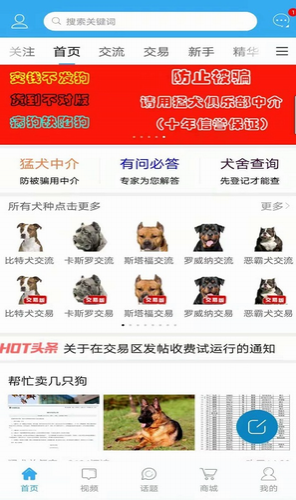 猛犬俱乐部2022