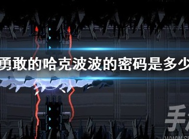 勇敢的哈克波波的密碼是什麼 勇敢的哈克波波的密碼一覽