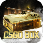 CsGo Box