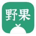 野果閱讀app