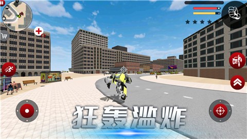 雷霆风暴行动