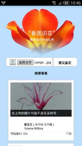 看圖識花
