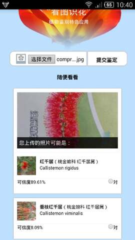看圖識花