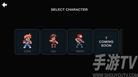 SD FINAL FIGHT