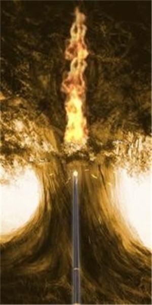 法術書的魔棒