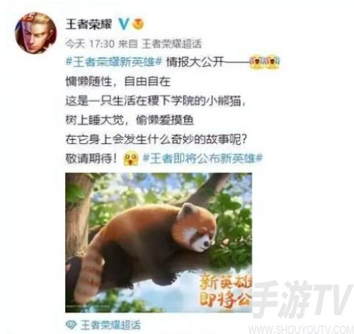 王者荣耀新英雄姬小满 姬小满情报定位介绍分享