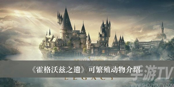 霍格沃茲之遺可繁殖動物有哪些 霍格沃茲之遺可繁殖動物分享