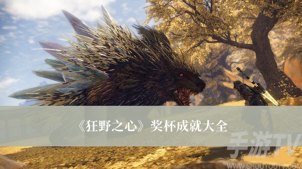 狂野之心獎杯成就有哪些 狂野之心獎杯成就大全分享