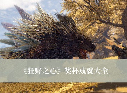 狂野之心獎杯成就有哪些 狂野之心獎杯成就大全分享