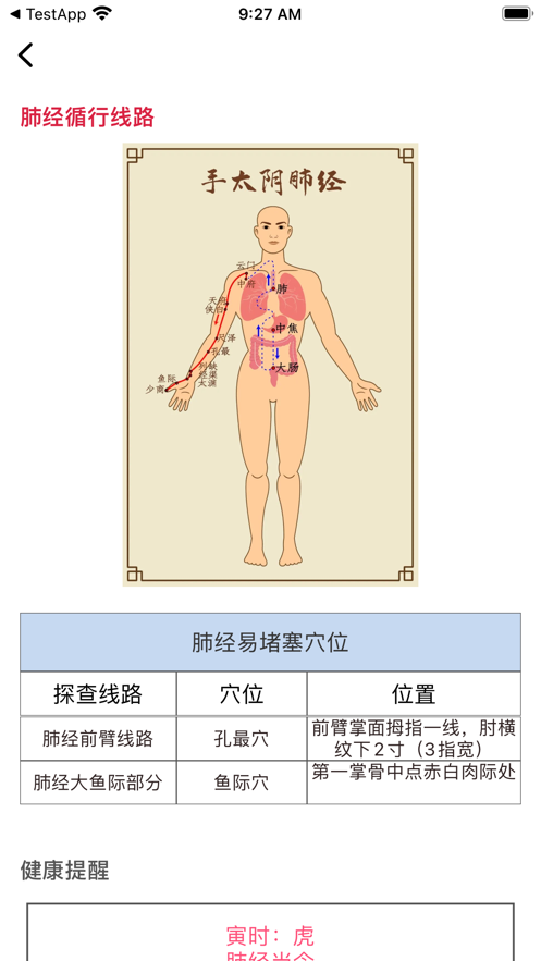 艾灸按摩养生手册