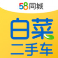 白菜二手车app