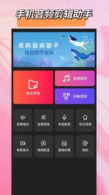 音频格式大师截图