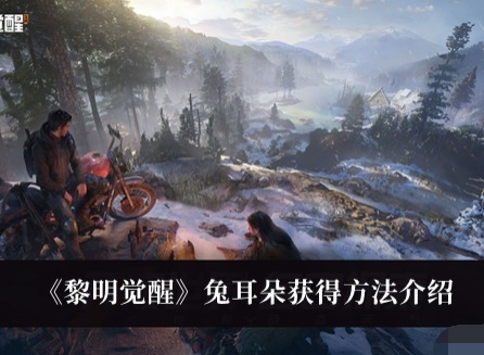 黎明覺醒兔耳朵怎麼獲得 黎明覺醒兔耳朵獲得方法分享