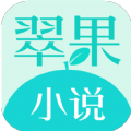 翠果小說app