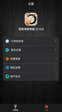 琵琶调音神器截图