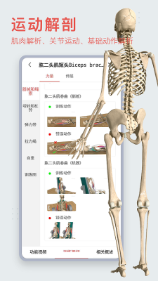 3Dbody解剖app