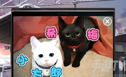失物终点站2第六关攻略