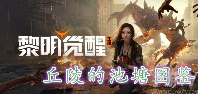 黎明覺醒丘陵的池塘藏寶圖