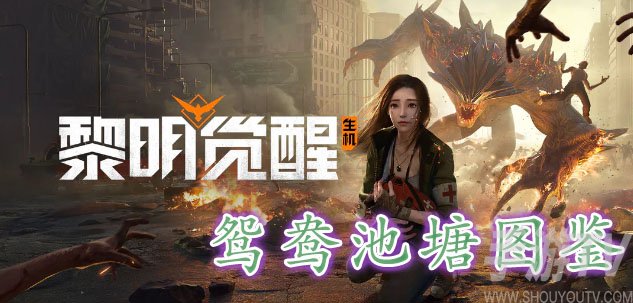 黎明覺醒鴛鴦池塘在哪