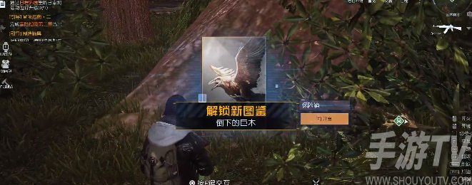 黎明觉醒红木林地藏宝图位置