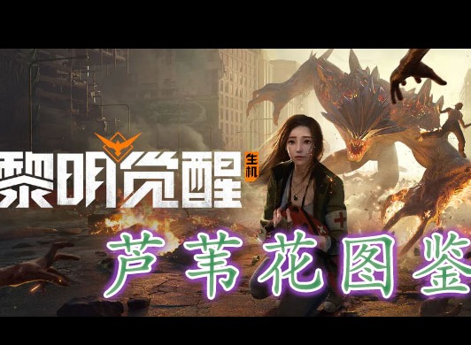 黎明覺醒蘆葦花藏寶圖在哪裏 黎明覺醒蘆葦花藏寶圖位置分享